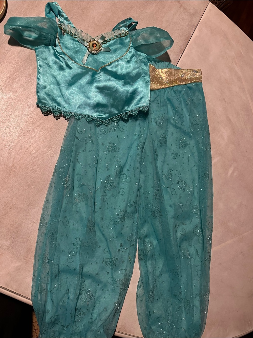 Disney Jasmine costume